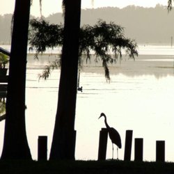 Lake Rousseau Rv Park