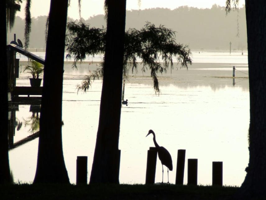 LAKE ROUSSEAU RV PARK Updated September 2024 10811 N Coveview Ter