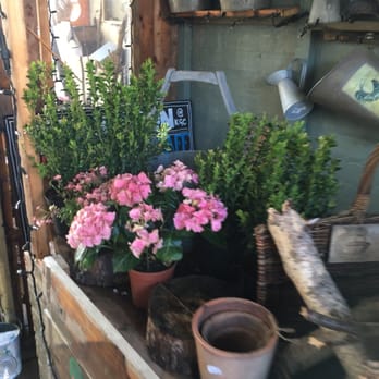 Kitchen Garden Cafe - British Near Me - Birmingham, XWM