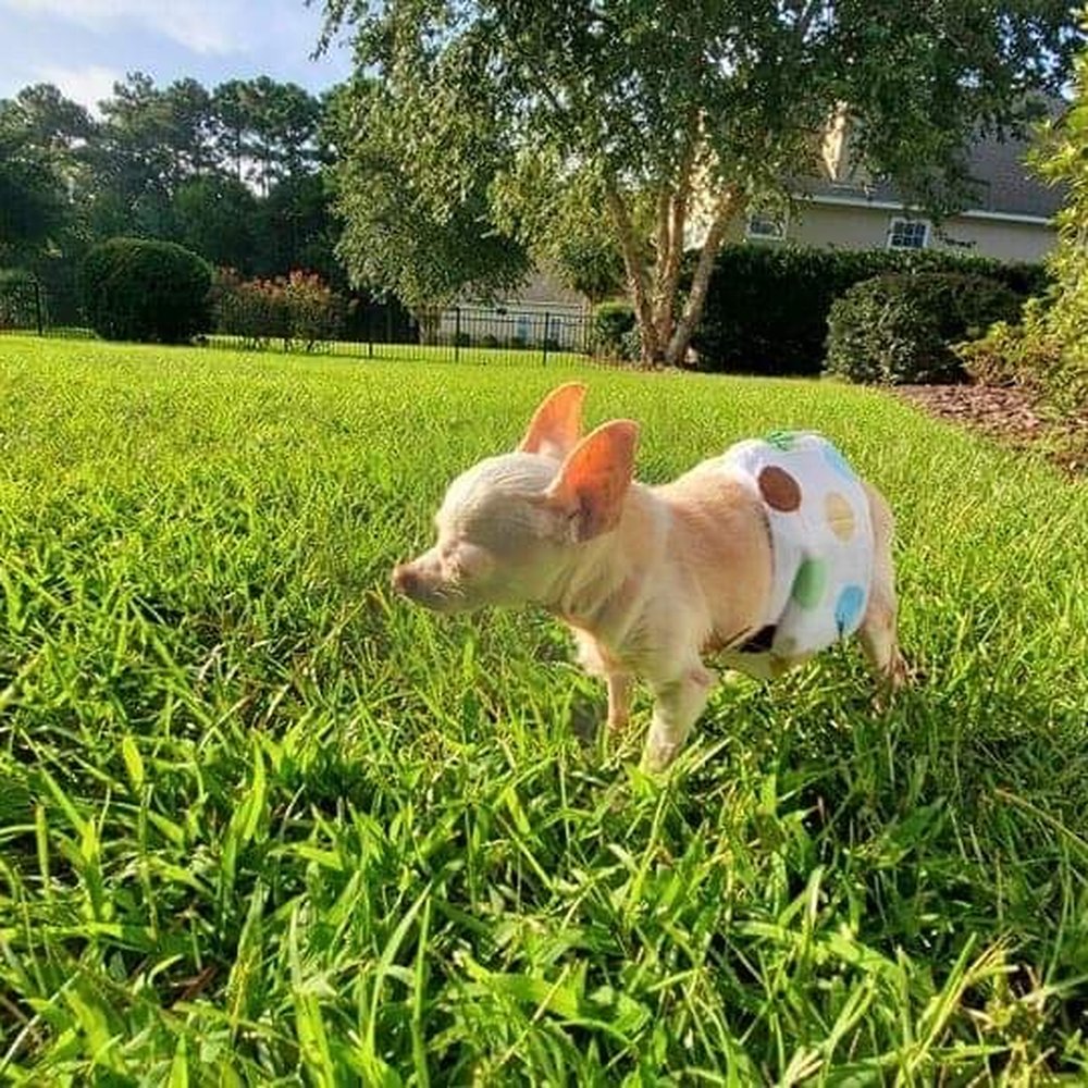 Angel is feeling so much better after seeing Dr. Caudill. Angel is feeling so much better after seeing Dr. Caudill.