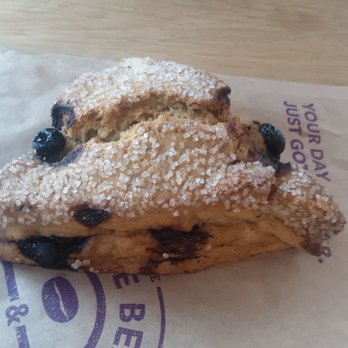 The Coffee Bean & Tea Leaf - Blueberry scone is crumbly like a biscuit, decent. - Coffee & Tea Near Me - Pasadena, California