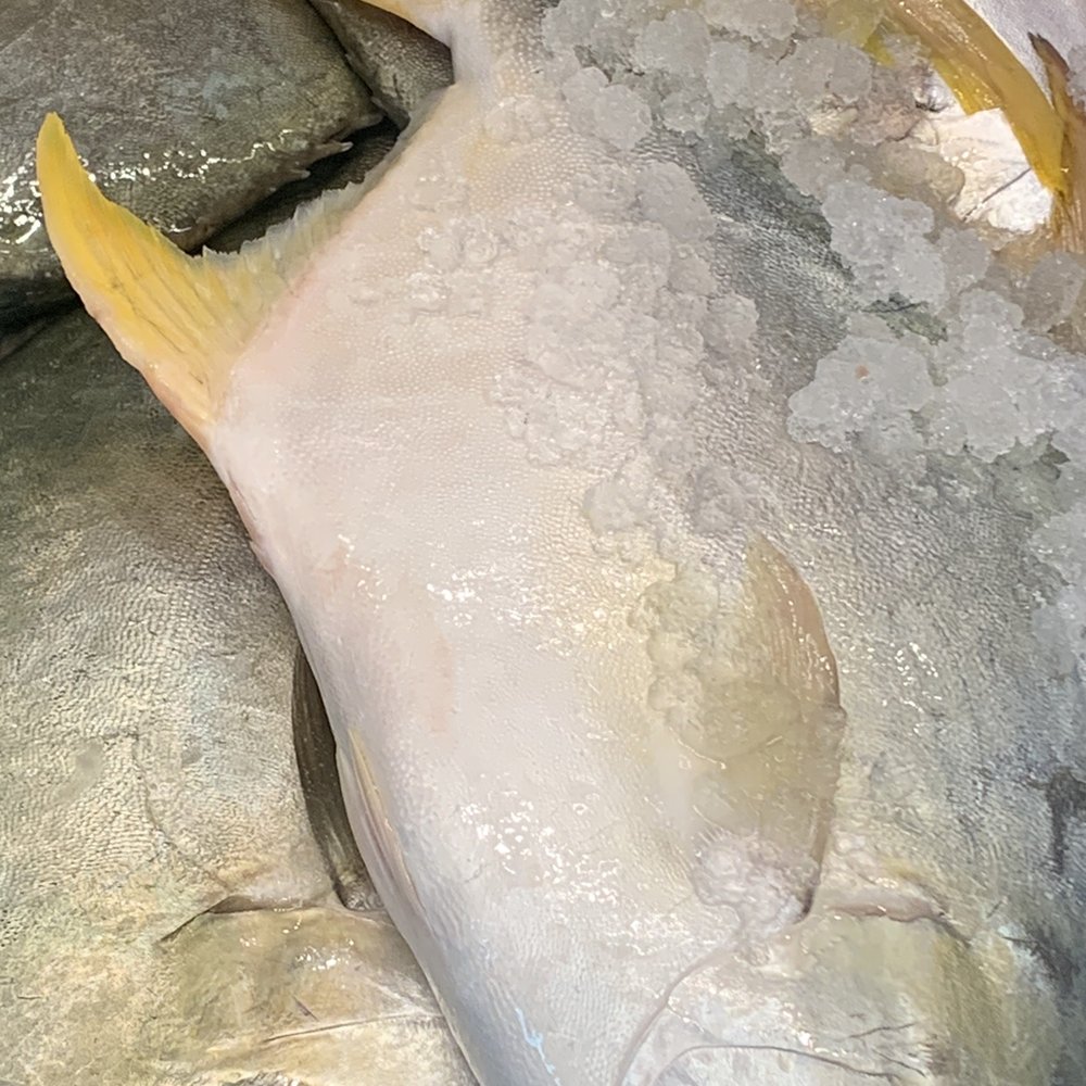 88 Ranch Market - fresh GOLDEN POMPANO - Seafood Markets Near Me - Oceanside, California