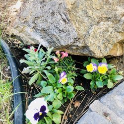 Moonridge Garden & Gift Shop - The leftovers are keeping Mr. Granite company.