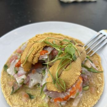 Holbox - Kanpachi & Uni Tostada - Latin American Near Me - Los Angeles, California Holbox - Kanpachi & Uni Tostada - Latin American Near Me - Los Angeles, California