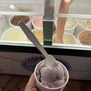 Moo Moo's Creamery - Black Raspberry - Ice Cream & Frozen Yogurt Near Me - Cold Spring, New York Moo Moo's Creamery - Black Raspberry - Ice Cream & Frozen Yogurt Near Me - Cold Spring, New York