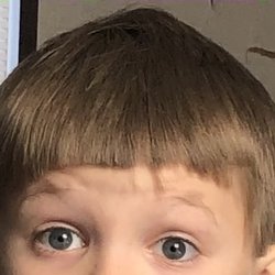 Sharkey's Cuts for Kids - Midland, TX