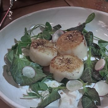 Zaytinya - Scallops - Greek Near Me - Culver City, California