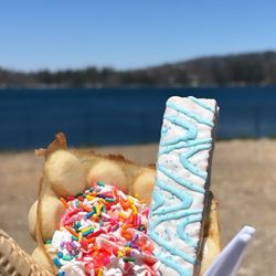 Village Ice Cream & Sweet Shoppe - Birthday Cake Sundae