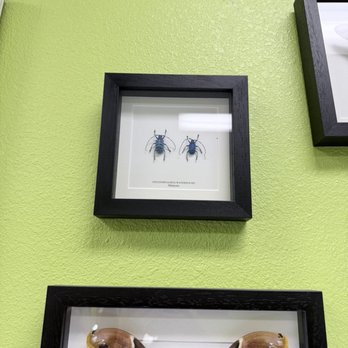 The Piercing Bar - Piercing Near Me - Rancho Cucamonga, California The Piercing Bar - Piercing Near Me - Rancho Cucamonga, California