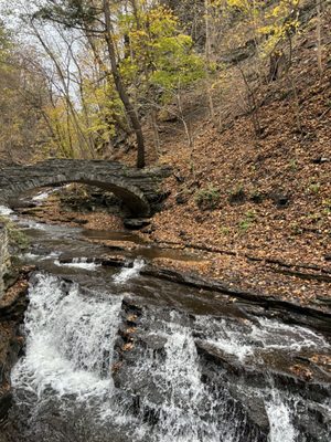 Cascadilla Gorge Trail by null