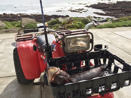 The Tides Inn by null