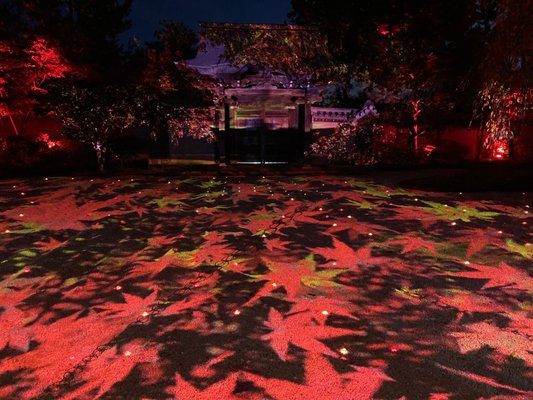 Kōdaiji Temple by null