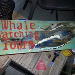 Whale watching tours!