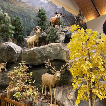 Cabela's - Guns & Ammo Near Me - West Chester, Ohio