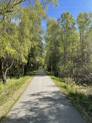 Tony Knowles Coastal Trail by null