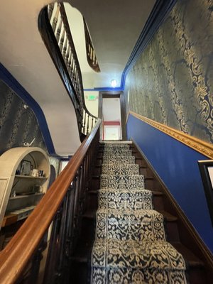 Elizabeth Esther Cafè by null