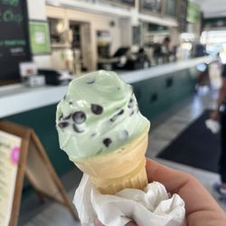 Hefner's Custard