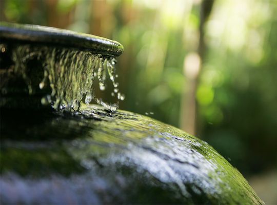 Peace Awareness Labyrinth and Gardens by null