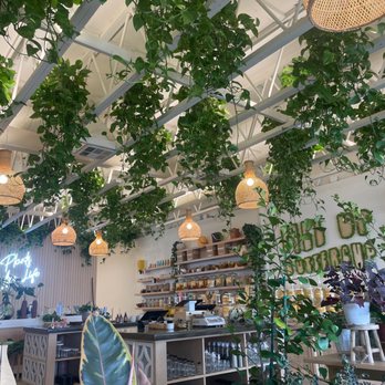 Plants By Yours Truly - Nurseries & Gardening Near Me - Huntington Beach, California