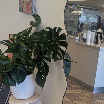 Tot Coffee - Pretty interior details - Coffee & Tea Near Me - Redondo Beach, California