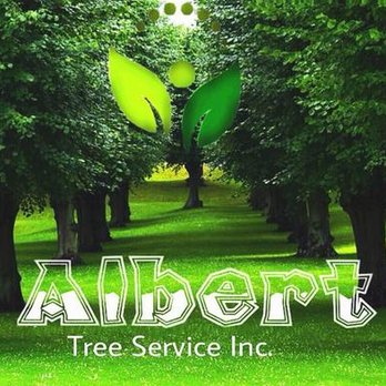 Albert Tree Service - untitled - Tree Services Near Me - Avon Park, Florida