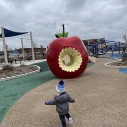Naperville Public Library - 95th Street Library