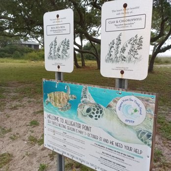 Alligator Point - Beaches Near Me - Panacea, Florida