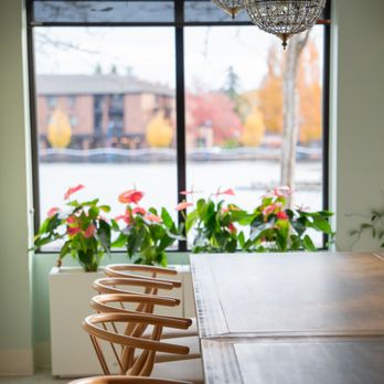 DOJA Tea Lounge - Desserts Near Me - Tualatin, Oregon DOJA Tea Lounge - Desserts Near Me - Tualatin, Oregon