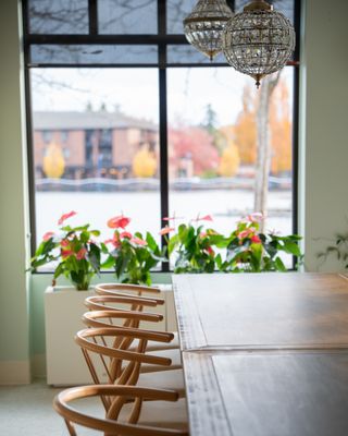 DOJA Tea Lounge by null