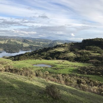 Wildcat Peak - Hiking Near Me - Berkeley, California