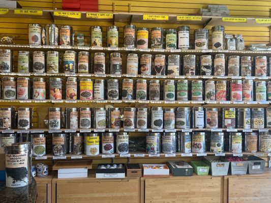 Aroma Tea Shop by null