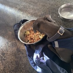 Judy Z’s Sports Tavern & Kitchen - Salmon and rice bowl