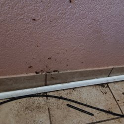 Stayable Suites - Kissimmee East