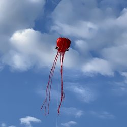 Carolina Beach - Flying my octopus kite