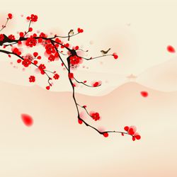 Rejuvenate Acupuncture & Massage