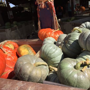 Davis Ranch, LLC - Fruits & Veggies Near Me - Sloughhouse, California Davis Ranch, LLC - Fruits & Veggies Near Me - Sloughhouse, California