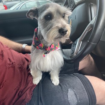 iPaw Pet Salons - Pet Groomers Near Me - Bulverde, Texas iPaw Pet Salons - Pet Groomers Near Me - Bulverde, Texas