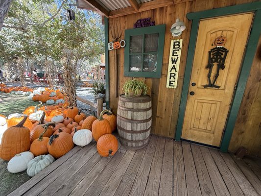 Irvine Regional Park by null