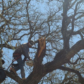 Integrity Tree Service - Tree Services Near Me