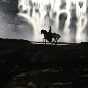 Cavalia - Performing Arts Near Me - Scottsdale, Arizona