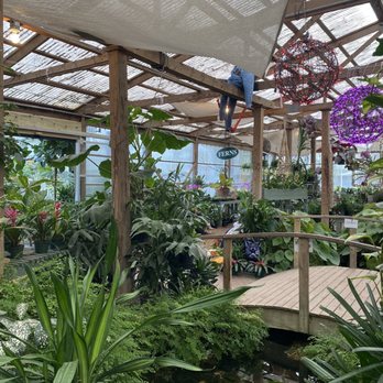 Tallahassee Nurseries Inc - Greenhouse - Nurseries & Gardening Near Me - Tallahassee, Florida Tallahassee Nurseries Inc - Greenhouse - Nurseries & Gardening Near Me - Tallahassee, Florida