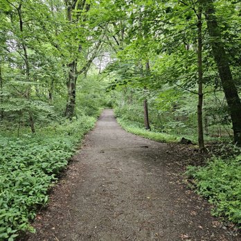 Forest Park - Trail - Parks Near Me - Woodhaven, New York