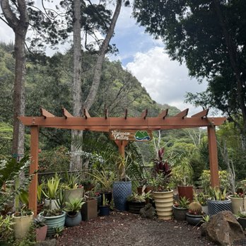 Toa Luau - On the way to the waterfalls - Cultural Center Near Me - Haleiwa, Hawaii