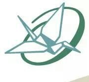 Origami Brain Injury Rehabilitation - grief counselor in Mason, MI