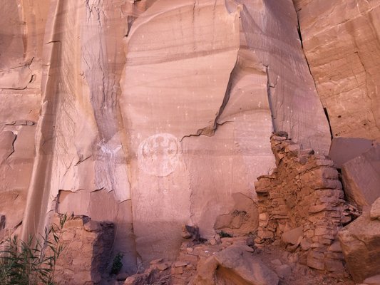 Navajo National Monument by null