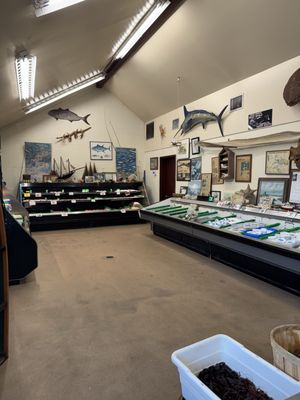 Russo's Seafood by null