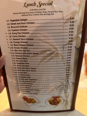 Menu photo 7 Bamboo Garden Pearland, TX Menu photo 7 Bamboo Garden Pearland, TX
