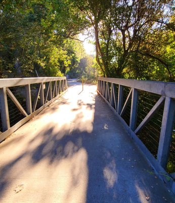 Bob Jones Trail Head by null