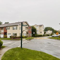 Homestead Management Services, Inc - Homestead Management Services Inc_Yelp_Sanju-6