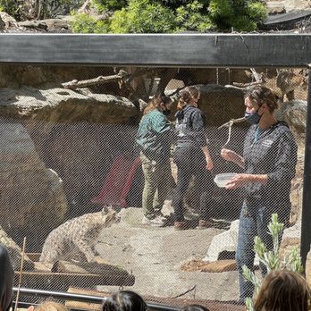 CuriOdyssey - Zoos Near Me - San Mateo, California